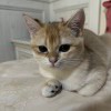 用户_1238
