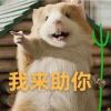 用户37691870的头像-侠隐阁源码