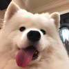 愿他爱你胜我万分