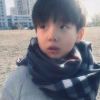 小狗铮