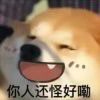 孤独侠客