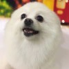 用户_6756