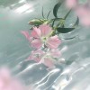 淑气婉登晨