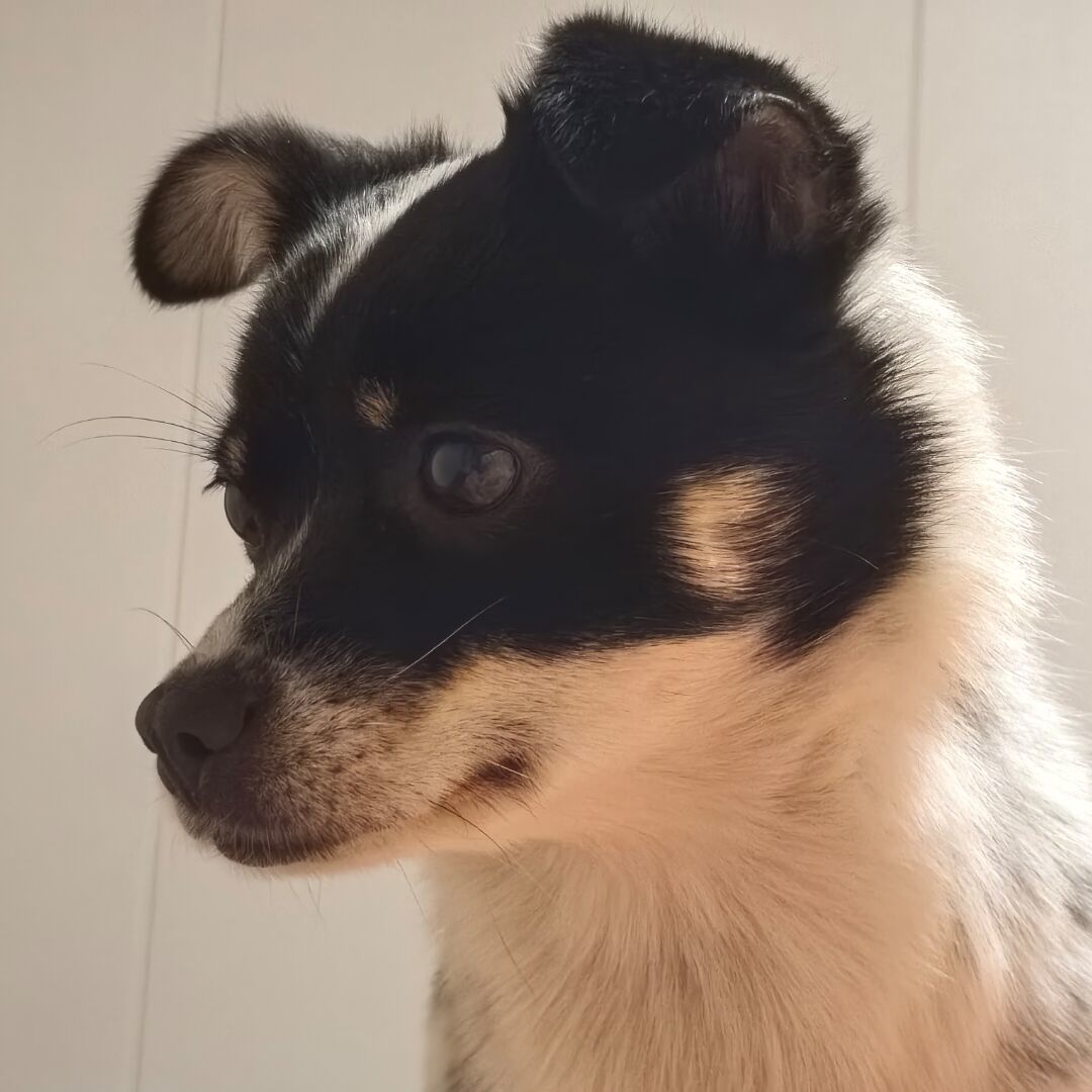 绔