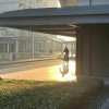 cdadaf的头像 - 极核GetShell