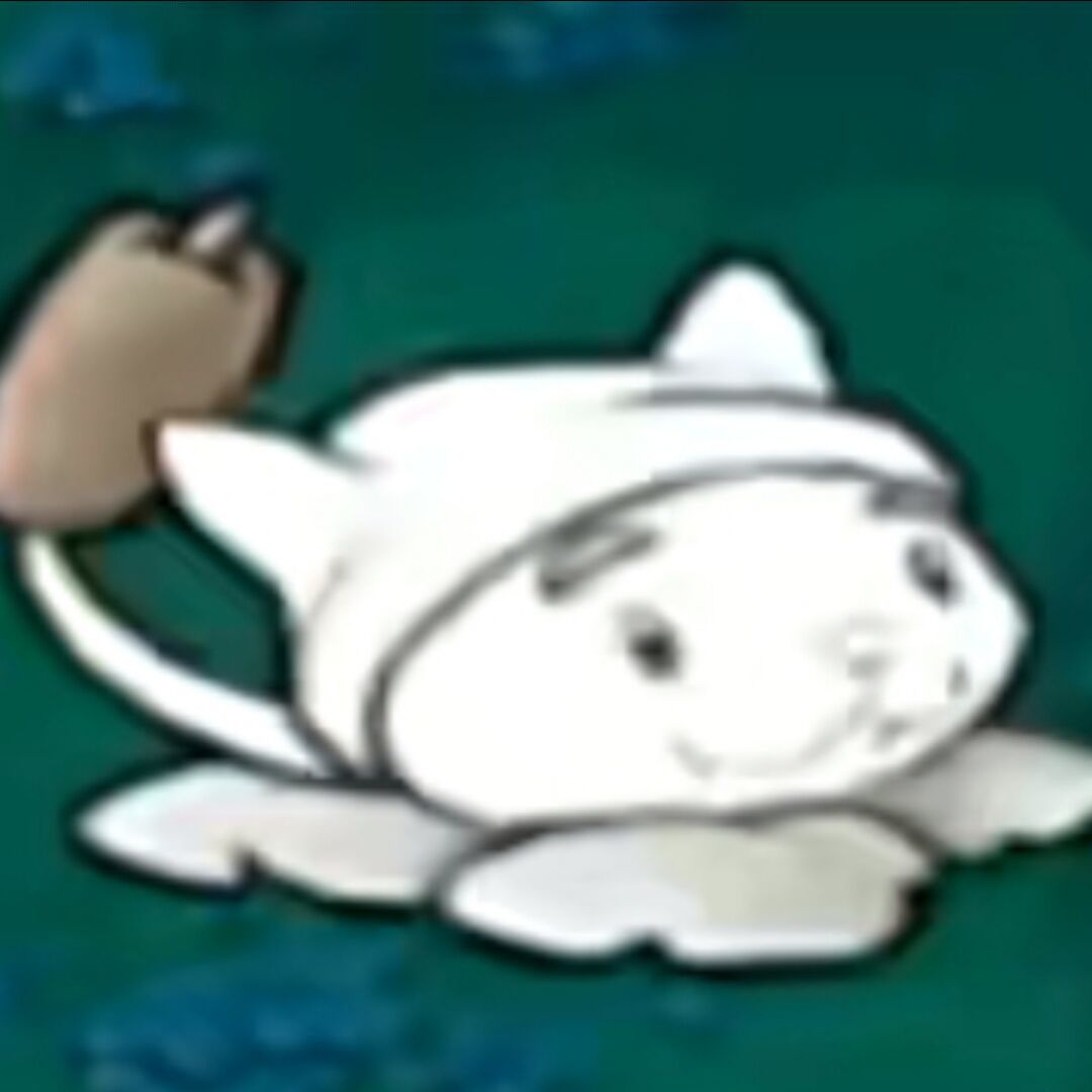 魔法猫咪