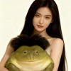 用户80383377的头像-iPA资源站