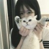 yu04050926的头像-【TITAIKE】T太科网