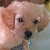 little