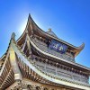 用户85129647的头像-iPA资源站