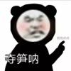 啥也不会_854
