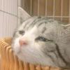 暖ོ꧔ꦿ星宸