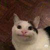 嬉皮士