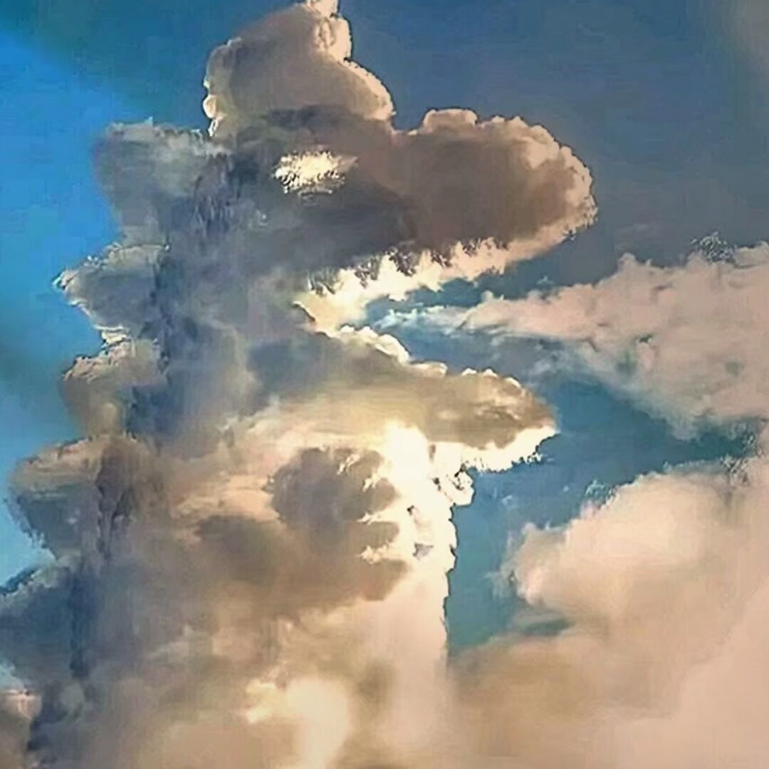 橙留香
