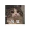喵的 摆了!(￣▽￣)~*的头像-七玩网