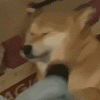 ？啊