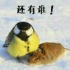异次元的生还