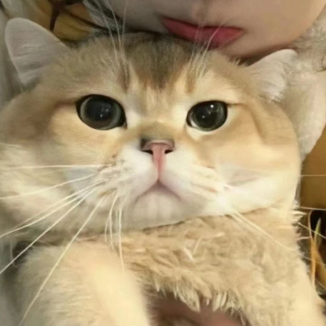 王义亮
