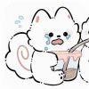 难解曲中意♪