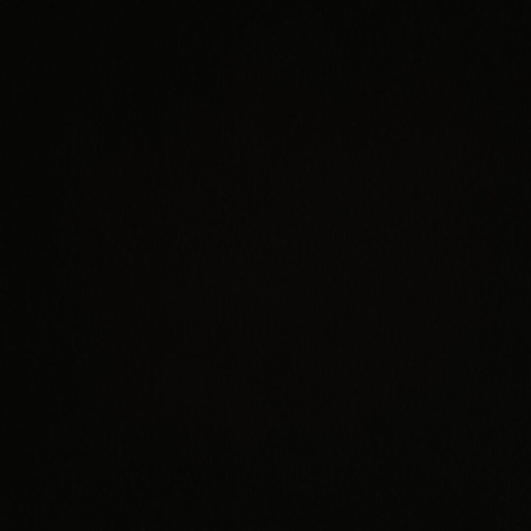 叶子墨