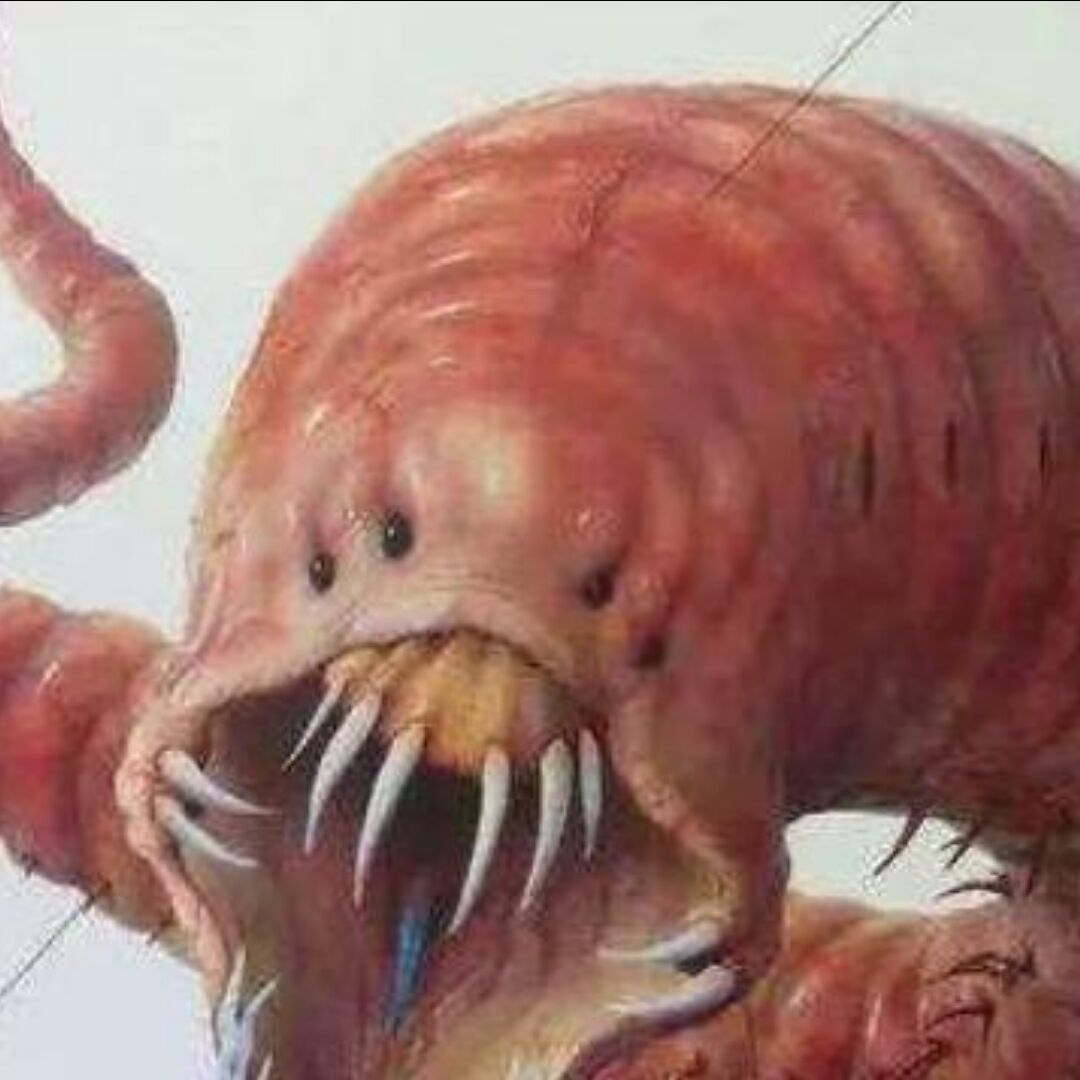 蠕虫