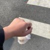 ulitx01的头像-小哥网