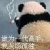 .....ls的头像-魔酷网