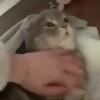 用户_3872