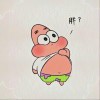 宝啊宝的头像-iPA资源站