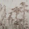 nishenhouyou的头像-【TITAIKE】T太科网