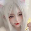 159753A的头像-【TITAIKE】T太科网