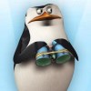 帝企鹅Skipper
