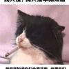 wbdw666的头像-【TITAIKE】T太科网
