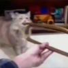 ユ
