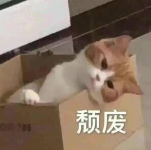 听雨.