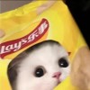 陈六水