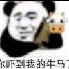 lijinjiang64的头像-觅影网