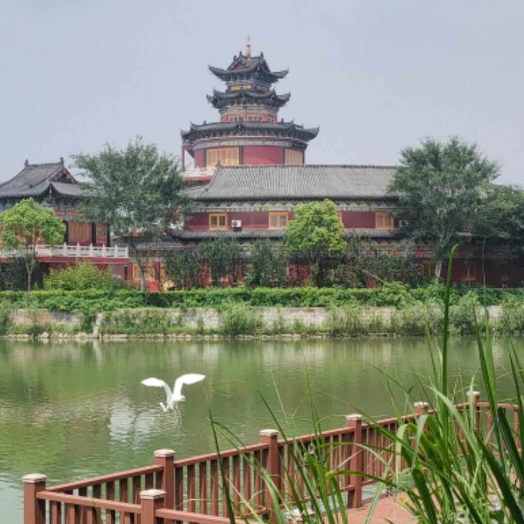 晨