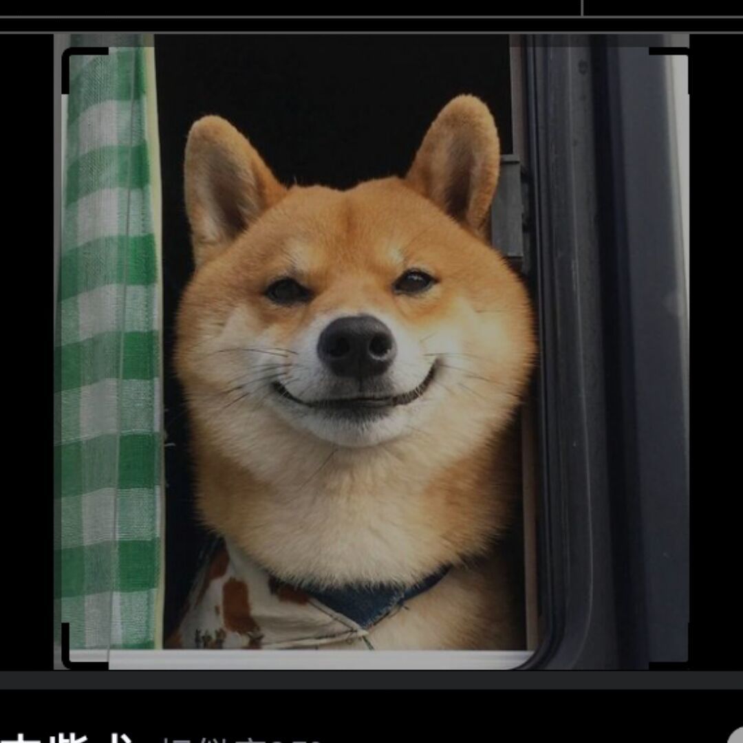 。_191