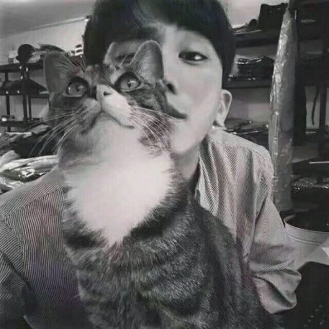 一梦