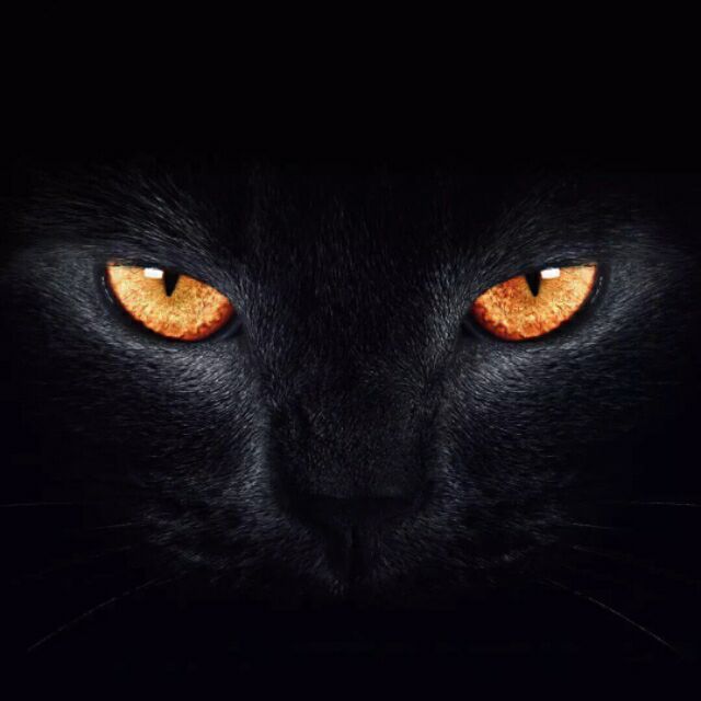 (￣y▽￣)~*捂嘴偷笑