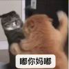 欧欧欧欧