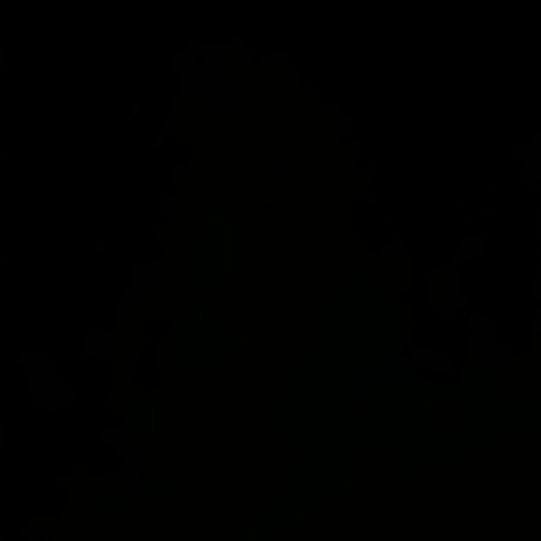 影BOBI