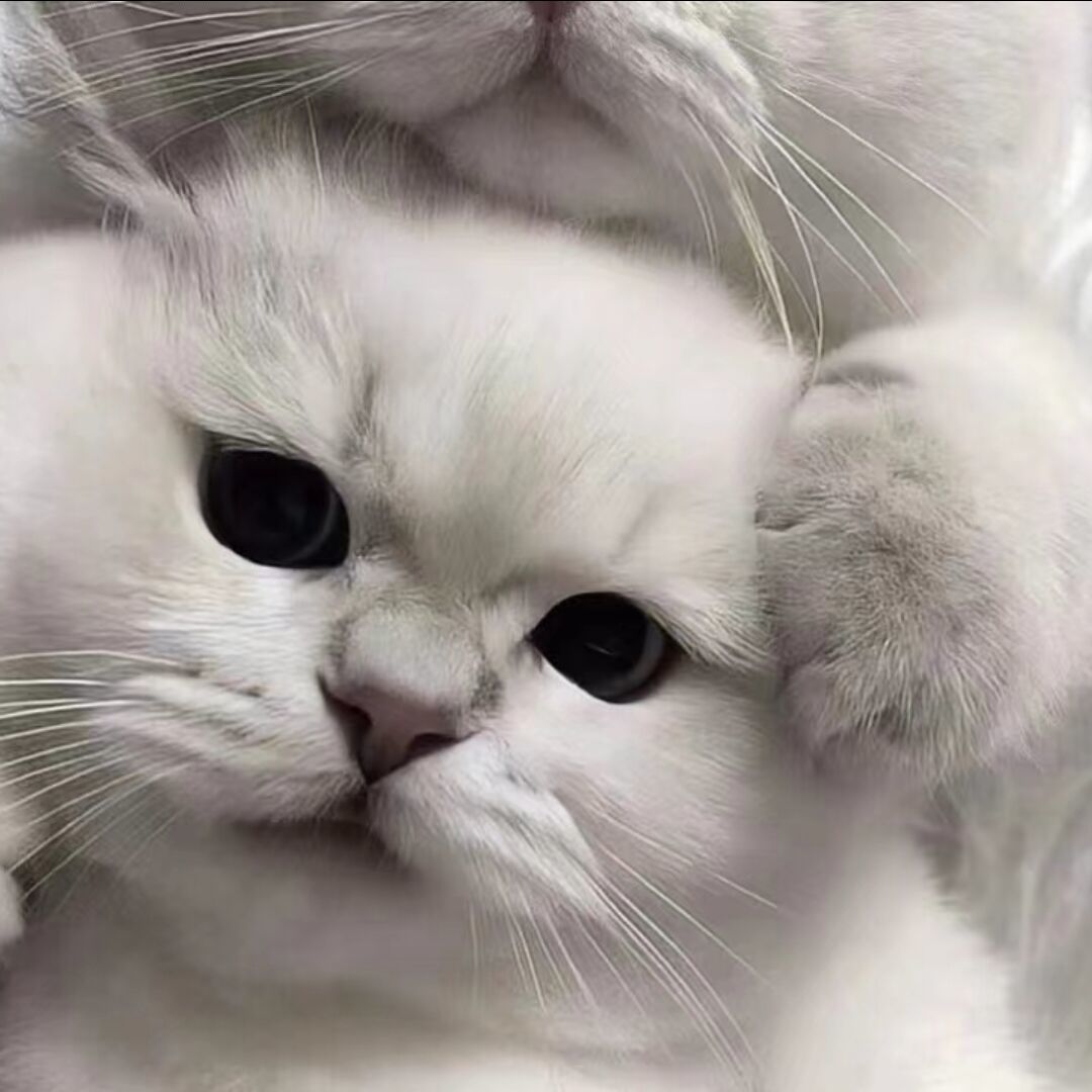 成功
