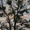 孤鸿的头像-爱学习的阿松