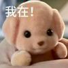 簌笙