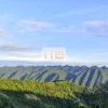 ￵￵￵￵￵￵￵￵￵1的头像-洛洛资源库