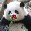 qq2455714556