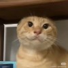 二中王嘉豪的头像-【TITAIKE】T太科网