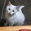 孤独_80